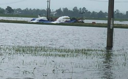 Hàng nghìn ha lúa bị ngập, TT-Huế yêu cầu thủy điện tạm ngừng phát điện để cứu lúa 