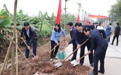 Hội Nông dân Nam Định phát động Tết trồng cây đời đời nhớ ơn Bác Hồ 