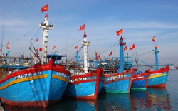 Thủ tướng yêu cầu chấm dứt tàu cá khai thác hải sản bất hợp pháp ở vùng biển nước ngoài