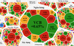 Cổ phiếu bất động sản ra sao sau hội nghị Thủ tướng gỡ khó thị trường?