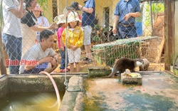 Một khu Vườn quốc gia nổi tiếng ở Bình Phước đang được nhiều người tìm tới xem, có con culi