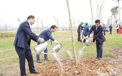 Ngày hội trồng cây - Cùng Honda giữ mãi màu xanh Việt Nam: 1.100 cây xanh được trồng tại Bắc Giang