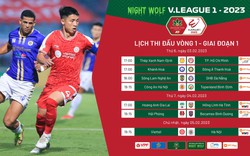 Lịch phát sóng trực tiếp vòng 1 V.League 2023: Háo hức chờ hiện tượng Nam Định