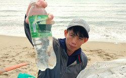Dân Ninh Thuận kiếm tiền triệu mỗi ngày nhờ đánh bắt tôm hùm con 