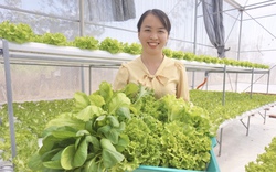 Nữ 9X Quảng Nam bỏ phố về quê, biến vùng cát trắng thành trang trại rau xanh, lãi 30 triệu/tháng
