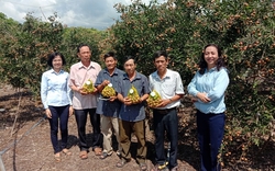 Hội Nông dân tỉnh Bình Thuận hướng về cơ sở giúp hội viên liên kết sản xuất