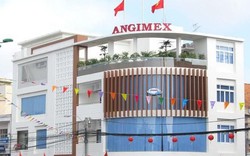 Angimex (AGM) tiếp tục thông báo giải thể, thoái vốn tại các công ty con