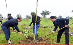 Một người dân tặng 5.000 cây xanh cho Công viên trung tâm thành phố Hà Tĩnh