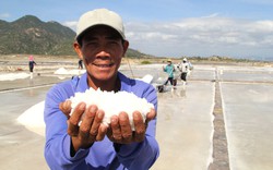 Muối Ninh Thuận tăng giá tốt nhất trong vòng hơn 10 năm qua, nông dân chịu vất vả mà phấn chấn