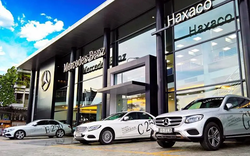 Haxaco (HAX) lãi lớn năm 2022, thêm cá nhân mạnh tay mua 10,5 triệu cổ phiếu, nâng sở hữu lên hơn 15%