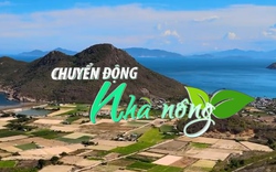 Chuyển động Nhà nông 25/2: Thí điểm thủ tục chuyển mục đích sử dụng đất trồng lúa tại Khánh Hòa