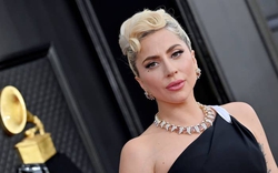 Lady Gaga bị kiện vì "quịt" tiền thưởng người tìm giúp hai chú chó cưng