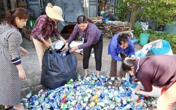 Nhặt thứ cả làng vứt đi, chị em xã này ở Thái Bình kiếm tiền triệu giúp nhà nghèo