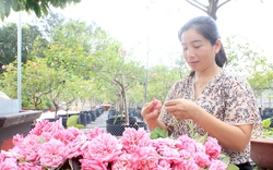 Trồng vườn hoa hồng đẹp, nhiều người đến xem, ai ngờ chị nông dân Đồng Nai lại kiếm được tiền