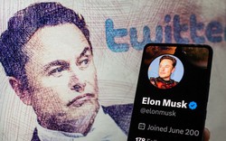 Twitter của tỷ phú Elon Musk bị hàng loạt công ty kiện 
