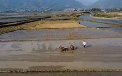 Nông dân Mường Tấc sẵn sàng cho vụ chiêm xuân bội thu