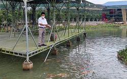 Vườn hoa lan tiền tỷ của một nông dân giàu có ở Bình Thuận, tạo việc làm lương cao cho tới 35 người