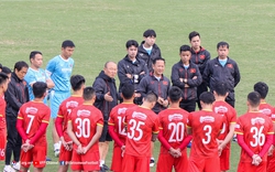 "Dừng V.League lâu dài để ĐT Việt Nam tập trung là quyết định điên rồ"