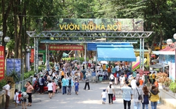 Hà Nội xem xét mở rào một phần công viên Thủ Lệ