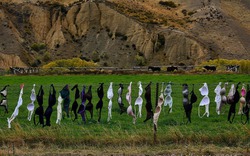 Hàng rào "áo lót" hút khách du lịch tại New Zealand