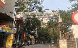 Cận cảnh rặng nhãn hàng chục năm tuổi sắp di dời ở phố đi bộ Trịnh Công Sơn