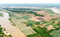 Quảng Ngãi đầu tư 3.800 tỷ phát triển khu đô thị mới đảo Ngọc trên sông Trà Khúc