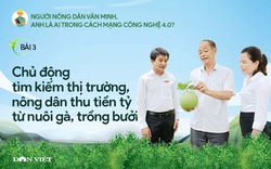 Người nông dân văn minh: Chủ động tìm kiếm thị trường, nông dân thu tiền tỷ từ nuôi gà, trồng bưởi sạch (bài 3)