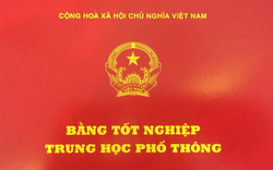 Một hiệu trưởng và một giám đốc ở Hà Nội bị thu hồi bằng tốt nghiệp vì gian lận thi cử 