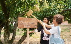 Trải nghiệm vườn vải thiều Global GAP đang nở rộ ở Bắc Giang, du khách thích thú chọn cây để đóng cọc sở hữu