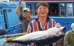 Chủ tịch UBND tỉnh Phú Yên viết thư kêu gọi ngư dân không đưa tàu cá sang vùng biển nước ngoài