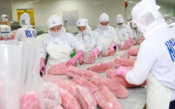 Hàn Quốc đột nhiên tăng mua một loài cá của Việt Nam,  
sức mua tăng đến 457%