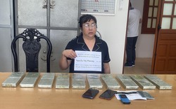 Hòa Bình: Vận chuyển thuê 20 bánh heroin với giá 100 triệu đồng