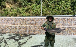 Đây là nông dân đầu tiên ở Thừa Thiên Huế đầu tư nuôi "cá tàu ngầm" có xuất xứ Siberi
