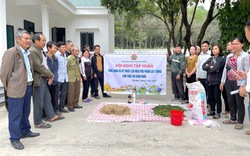Tập huấn kỹ thuật lên men phụ phẩm cây trồng làm thức ăn chăn nuôi cho 270 nông dân Ninh Bình