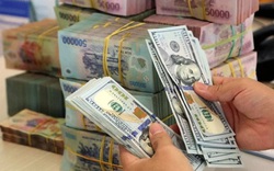 "Việt Nam là quốc gia châu Á đầu tiên xoay trục nới lỏng chính sách tiền tệ khi FED liên tục tăng lãi suất"