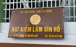 Huyện Sìn Hồ (Lai Châu): Liệu có chuyện "bảo kê" cho hành vi mua bán, vận chuyển gỗ quý trái phép như chủ xưởng tố?