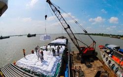 Indonesia nhập khẩu thêm 500.000 tấn gạo, cơ hội lớn cho Việt Nam
