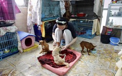 “Mái ấm tình thương” của những thú cưng bị bỏ rơi ở Hà Nội