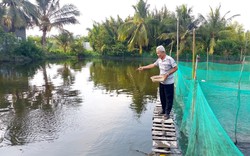 Nuôi thứ cá mang tỷ đô cho Việt Nam, ông nông dân Sài Gòn quê Đồng Tháp cứ bán là trúng