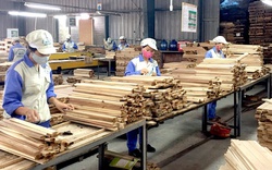 Đây là lý do VNDirect dự báo biên lãi gộp doanh nghiệp ngành gỗ sẽ giảm trong năm 2023