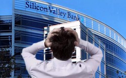 Từ vụ ngân hàng Silicon Valley sụp đổ: Lung lay niềm tin của ngành khởi nghiệp công nghệ