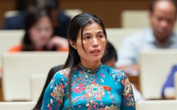“Kỳ án” gỗ trắc liên quan cựu tướng Phan Văn Vĩnh khiến Viện trưởng VKSND Tối cao bị chất vấn 9 lần