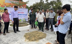 Hội Nông dân Ninh Bình tập huấn kỹ thuật nuôi gà trên đệm lót sinh học dày cho 100 nông dân