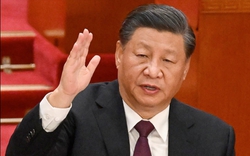 Chủ tịch Trung Quốc Tập Cận Bình: Quan hệ Nga-Trung không nhằm chống lại các bên thứ ba