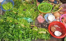 Loại rau quốc dân ở Việt Nam bán theo mớ to đầy ngoài chợ, sang nước ngoài đếm cọng tính tiền