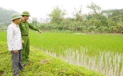 Hà Nam: Người đàn ông tử vong do chạm phải bẫy chuột bằng điện