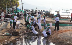 Nha Trang: Trên 115 thanh niên ra quân làm sạch môi trường