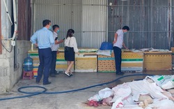 Khánh Hòa: Tiêu hủy 7 tấn thịt, nội tạng heo không có nguồn gốc