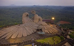 Cận cảnh chim đá khổng lồ ở Ấn Độ