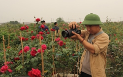 Nông dân ngoại thành Hà Nội kiếm tiền tỉ nhờ clip triệu view trên TikTok